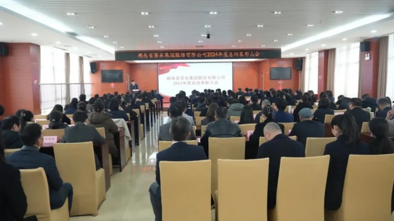 集團公司2024年度總結表彰暨2025年工作動員大會順利召開