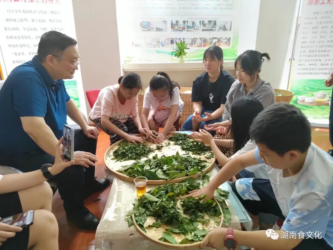 原載人民日?qǐng)?bào)“人民視點(diǎn)”茶葉是怎樣做出來(lái)的？湖南大、中、小學(xué)生體驗(yàn)湖南工夫紅茶制作